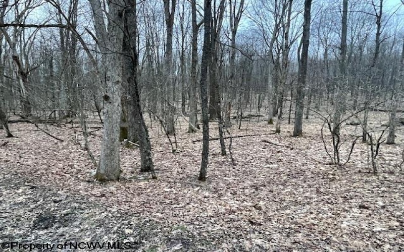 Lot 40 Bobolink Drive, Terra Alta, West Virginia 26764, ,Lots/land,For Sale,Bobolink,10158272