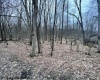 Lot 40 Bobolink Drive, Terra Alta, West Virginia 26764, ,Lots/land,For Sale,Bobolink,10158272