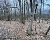 Lot 40 Bobolink Drive, Terra Alta, West Virginia 26764, ,Lots/land,For Sale,Bobolink,10158272