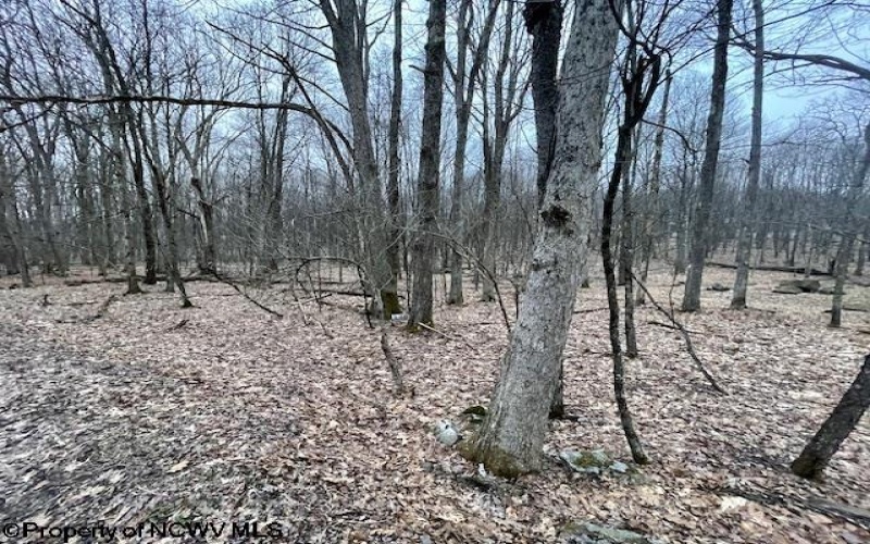 Lot 40 Bobolink Drive, Terra Alta, West Virginia 26764, ,Lots/land,For Sale,Bobolink,10158272