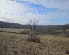 TBD Homestead Lane, Bruceton Mills, West Virginia 26525, ,Lots/land,For Sale,Homestead,10158274