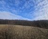 TBD Homestead Lane, Bruceton Mills, West Virginia 26525, ,Lots/land,For Sale,Homestead,10158274