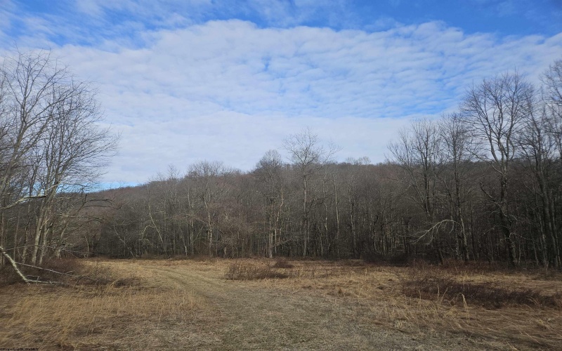 TBD Homestead Lane, Bruceton Mills, West Virginia 26525, ,Lots/land,For Sale,Homestead,10158274