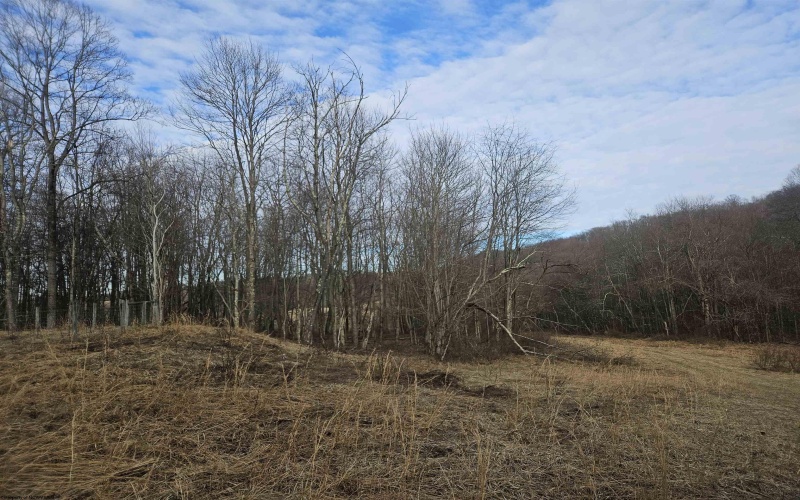 TBD Homestead Lane, Bruceton Mills, West Virginia 26525, ,Lots/land,For Sale,Homestead,10158274