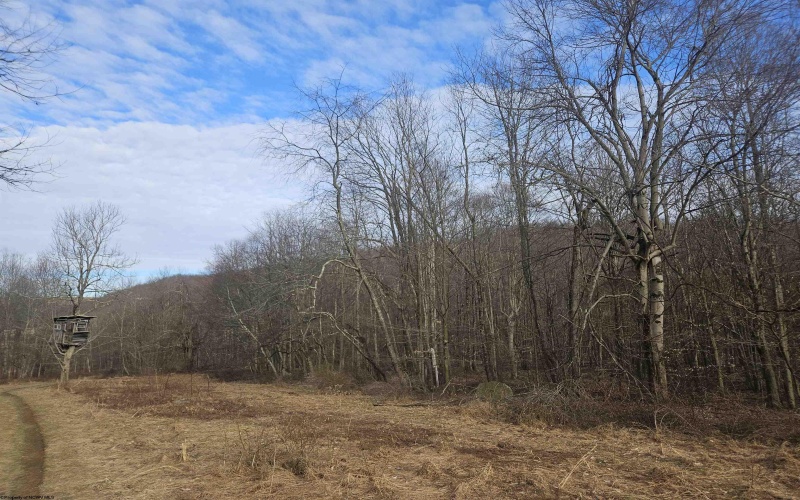 TBD Homestead Lane, Bruceton Mills, West Virginia 26525, ,Lots/land,For Sale,Homestead,10158274