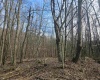 TBD Homestead Lane, Bruceton Mills, West Virginia 26525, ,Lots/land,For Sale,Homestead,10158274