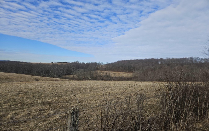 TBD Homestead Lane, Bruceton Mills, West Virginia 26525, ,Lots/land,For Sale,Homestead,10158274