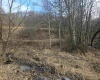 TBD Homestead Lane, Bruceton Mills, West Virginia 26525, ,Lots/land,For Sale,Homestead,10158274