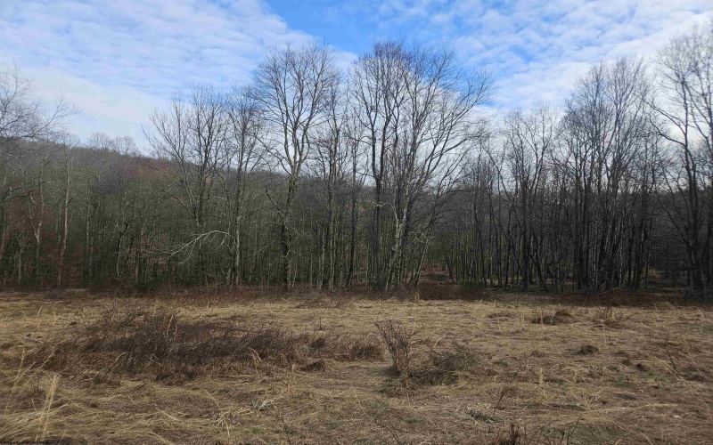 TBD Homestead Lane, Bruceton Mills, West Virginia 26525, ,Lots/land,For Sale,Homestead,10158274