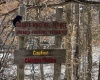 Lot 16 Black Bear Trail, Davis, West Virginia 26260, ,Lots/land,For Sale,Black Bear,10158307