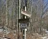 Lot 16 Black Bear Trail, Davis, West Virginia 26260, ,Lots/land,For Sale,Black Bear,10158307