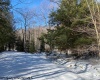 Lot 16 Black Bear Trail, Davis, West Virginia 26260, ,Lots/land,For Sale,Black Bear,10158307