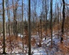 Lot 16 Black Bear Trail, Davis, West Virginia 26260, ,Lots/land,For Sale,Black Bear,10158307