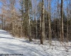 Lot 16 Black Bear Trail, Davis, West Virginia 26260, ,Lots/land,For Sale,Black Bear,10158307