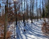 Lot 16 Black Bear Trail, Davis, West Virginia 26260, ,Lots/land,For Sale,Black Bear,10158307