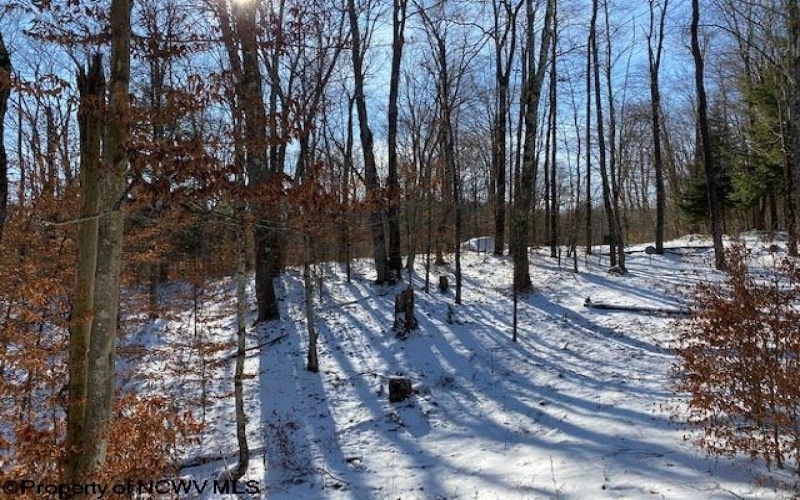 Lot 16 Black Bear Trail, Davis, West Virginia 26260, ,Lots/land,For Sale,Black Bear,10158307