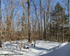 Lot 16 Black Bear Trail, Davis, West Virginia 26260, ,Lots/land,For Sale,Black Bear,10158307