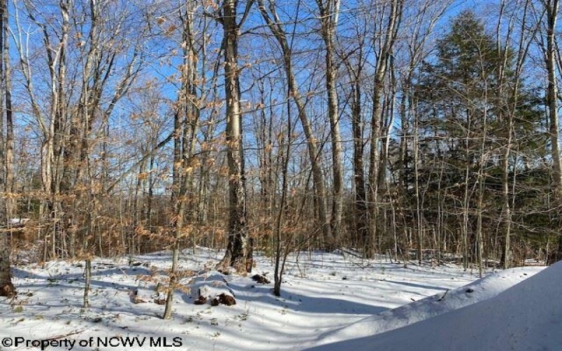 Lot 16 Black Bear Trail, Davis, West Virginia 26260, ,Lots/land,For Sale,Black Bear,10158307