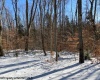 Lot 16 Black Bear Trail, Davis, West Virginia 26260, ,Lots/land,For Sale,Black Bear,10158307