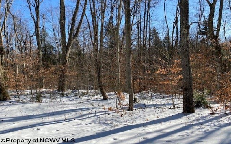 Lot 16 Black Bear Trail, Davis, West Virginia 26260, ,Lots/land,For Sale,Black Bear,10158307
