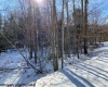 Lot 16 Black Bear Trail, Davis, West Virginia 26260, ,Lots/land,For Sale,Black Bear,10158307