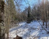 Lot 16 Black Bear Trail, Davis, West Virginia 26260, ,Lots/land,For Sale,Black Bear,10158307