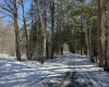 Lot 16 Black Bear Trail, Davis, West Virginia 26260, ,Lots/land,For Sale,Black Bear,10158307