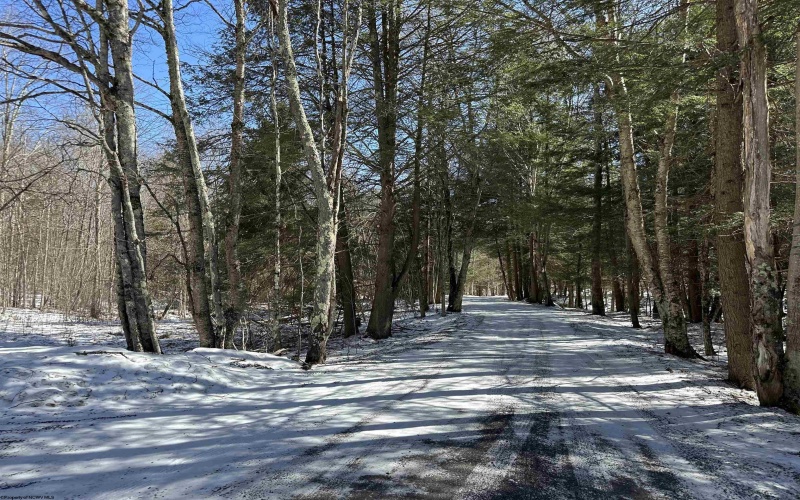 Lot 16 Black Bear Trail, Davis, West Virginia 26260, ,Lots/land,For Sale,Black Bear,10158307