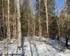 Lot 16 Black Bear Trail, Davis, West Virginia 26260, ,Lots/land,For Sale,Black Bear,10158307