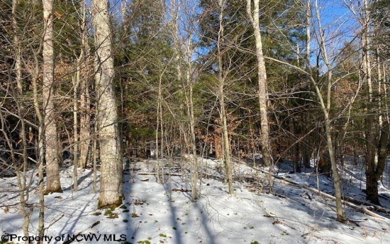 Lot 16 Black Bear Trail, Davis, West Virginia 26260, ,Lots/land,For Sale,Black Bear,10158307