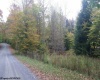 Lot 16 Black Bear Trail, Davis, West Virginia 26260, ,Lots/land,For Sale,Black Bear,10158307