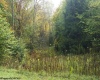 Lot 16 Black Bear Trail, Davis, West Virginia 26260, ,Lots/land,For Sale,Black Bear,10158307