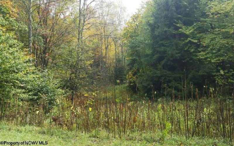 Lot 16 Black Bear Trail, Davis, West Virginia 26260, ,Lots/land,For Sale,Black Bear,10158307