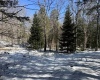 Lot 16 Black Bear Trail, Davis, West Virginia 26260, ,Lots/land,For Sale,Black Bear,10158307