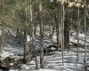 Lot 16 Black Bear Trail, Davis, West Virginia 26260, ,Lots/land,For Sale,Black Bear,10158307