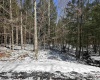 Lot 16 Black Bear Trail, Davis, West Virginia 26260, ,Lots/land,For Sale,Black Bear,10158307