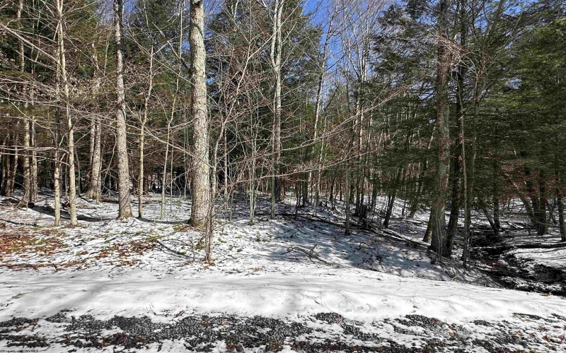 Lot 16 Black Bear Trail, Davis, West Virginia 26260, ,Lots/land,For Sale,Black Bear,10158307