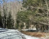 Lot 16 Black Bear Trail, Davis, West Virginia 26260, ,Lots/land,For Sale,Black Bear,10158307