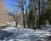 Lot 16 Black Bear Trail, Davis, West Virginia 26260, ,Lots/land,For Sale,Black Bear,10158307