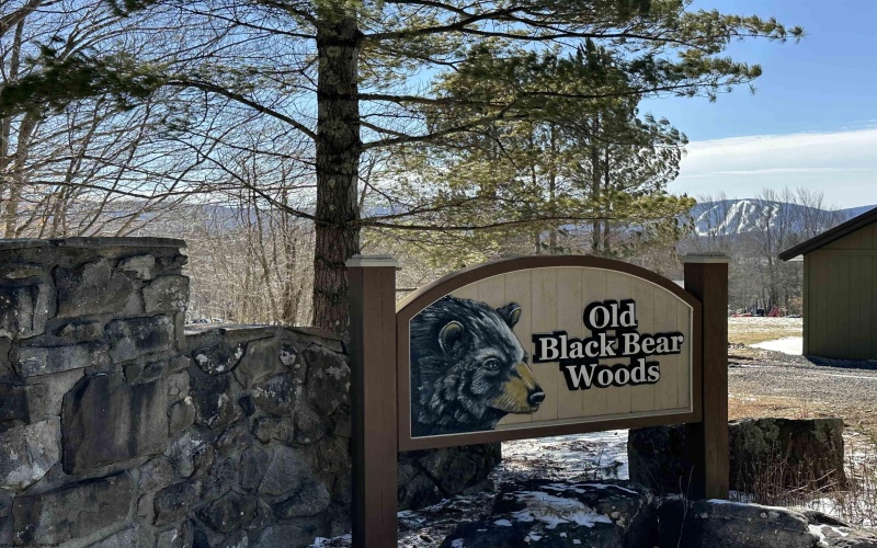 Lot 16 Black Bear Trail, Davis, West Virginia 26260, ,Lots/land,For Sale,Black Bear,10158307