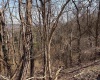 TBD Buckhannon Avenue, Morgantown, West Virginia 26501, ,Lots/land,For Sale,Buckhannon,10158316