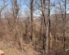 TBD Buckhannon Avenue, Morgantown, West Virginia 26501, ,Lots/land,For Sale,Buckhannon,10158316