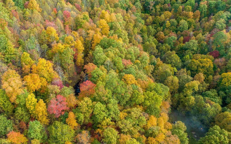 2882 Falling Rock Road, Clendenin, West Virginia 25045, ,Lots/land,For Sale,Falling Rock,10158334