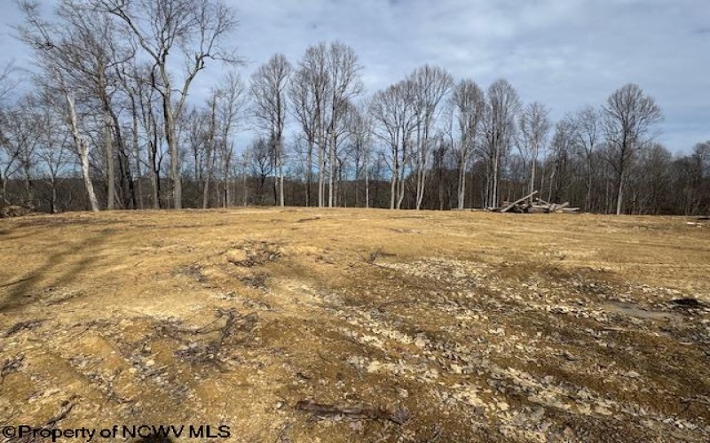 TBD Green Valley Road, Bridgeport, West Virginia 26330, ,Lots/land,For Sale,Green Valley,10158328