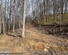 TBD Green Valley Road, Bridgeport, West Virginia 26330, ,Lots/land,For Sale,Green Valley,10158328