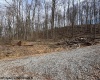 TBD Green Valley Road, Bridgeport, West Virginia 26330, ,Lots/land,For Sale,Green Valley,10158328