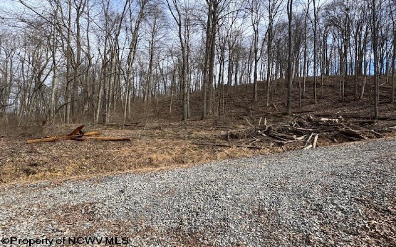TBD Green Valley Road, Bridgeport, West Virginia 26330, ,Lots/land,For Sale,Green Valley,10158328