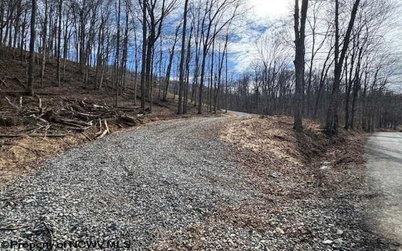 TBD Green Valley Road, Bridgeport, West Virginia 26330, ,Lots/land,For Sale,Green Valley,10158328