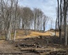 TBD Green Valley Road, Bridgeport, West Virginia 26330, ,Lots/land,For Sale,Green Valley,10158328