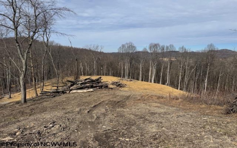 TBD Green Valley Road, Bridgeport, West Virginia 26330, ,Lots/land,For Sale,Green Valley,10158328